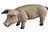 Schwein Rohling 60cm €75